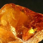 how amber is formed in nature
