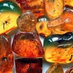 How to distinguish real from artificial amber How to check a stone for authenticity at home