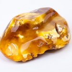 How to distinguish real amber from fake: 6 ways