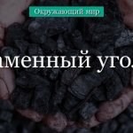 Каменный уголь – что такое, где добывают, свойства, описание и интересные факты для сообщения кратко (3 класс, окружающий мир)