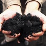 Каменный уголь: образование