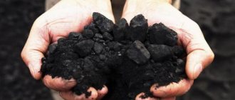 Каменный уголь: образование