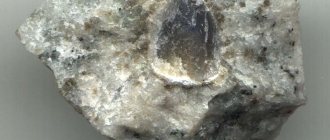 Mineral stone corundum
