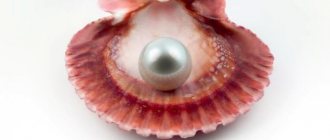 Natural pearls photo