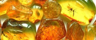 Amber stones