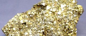 gold or pyrite